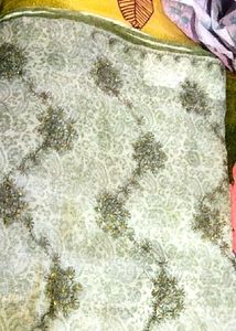 Organza Clothe Saree With Thread And Sequence Work