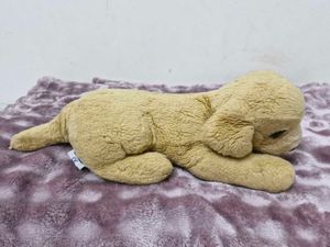 Cute Plush Dog Toy