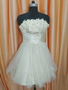 Chic Strapless Tulle Party Dress