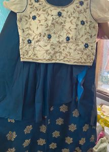 Embroidered Lehenga Choli Set