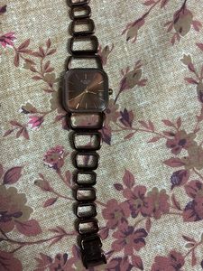 Titan raga watch
