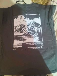 SHEIN Grey Graphic T-Shirt