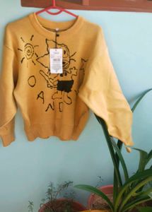 Cute Cartoon Knit Sweater