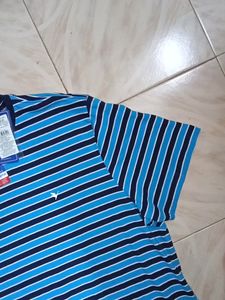 New Branded Tshirt With Tag
