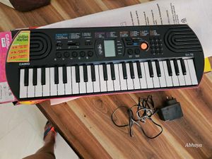Casio Mini Keyboard - Learn &amp; Play