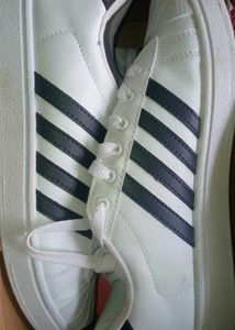 Sparx White Sneakers