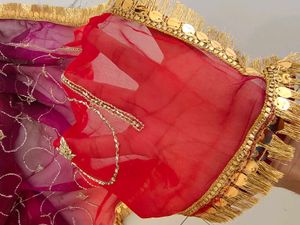Vibrant Ombre Embroidered saree