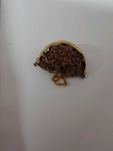 New Unused Ek Mukhi Rudraksha Pendant+free Chain