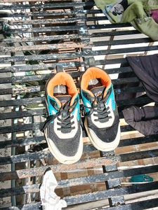 Campus Boys Black &amp; Teal Sneakers