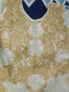 Golden Embroidered White Net Gown