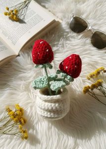 Crocheted Strawberry Plant Decor