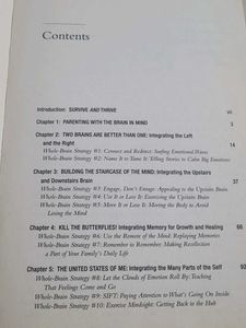 The Whole-Brain Child Book