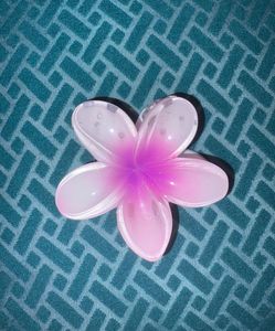 🌸 Combo of 3 Colourful Flower Hair Clips