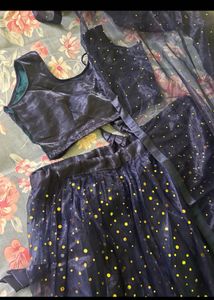 Stunning Navy Blue Sequined Lehenga Choli Set