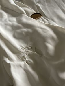 Rich class formal shirt (women)