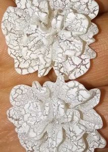 Elegant Floral Stud Earrings