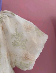 Chic Puff Sleeve Embroidered Top