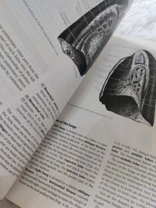 PRACTICAL ANATOMY TEXTBOOK