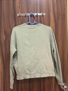 Pastel Green Cozy Sweatshirt
