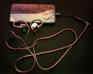 Hardly Used IEMs+DAC+Premium Eartips Combo