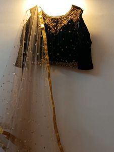 Elegant Sequined Lehenga Choli Set
