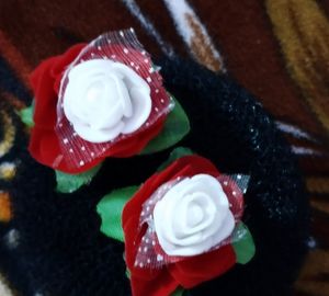 Rose Clips With Judaa