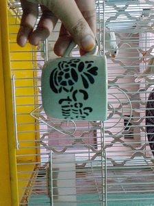 Tea Cups 3