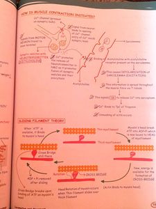 Zoology Med Easy Book