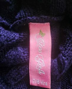 Smart Purple Highneck Sweater