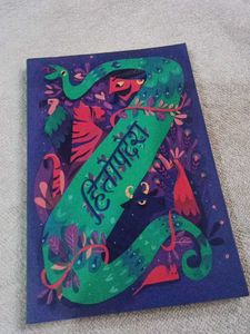 Vibrant Illustrated Book hindi boo