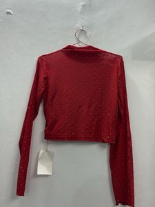 Sparkly Mesh Long Sleeve Top