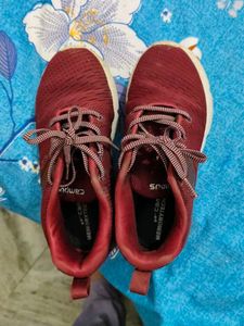 Campus Maroon Running Shoes