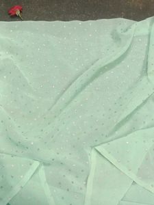 Elegant Light Green blouse material with Silver Do