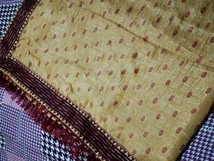 ✨ Beautiful Golden Saree