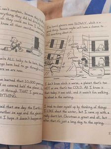 Diary of a Wimpy Kid: The Meltdown