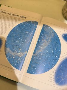 Ultimate Family Visual Dictionary