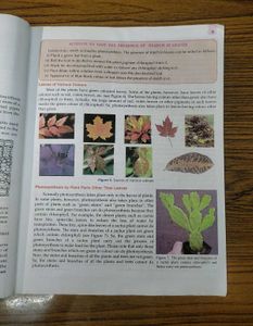 Lakhmir Singh's Science Class 7th Textbook