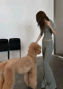 Grey Flared Lounge Pants