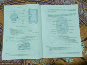 S.chand Physics Foundation Science Biology Class 9