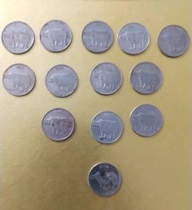 Rhino  Total 13coin Series 1988 Year To 2000yr Best For Historical Knowledge 🥳🥳🥳