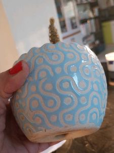 Decorative Potted Succulent Plant