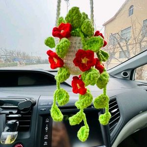 Handmade Crochet Hanging Plant Decor