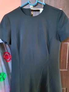 Classic Black Short Sleeve Dress