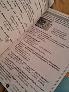 NCERT Practice Workbook Mathematics Class 6
