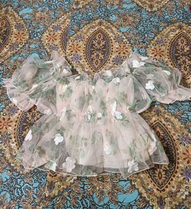 Sheer Floral Puff Sleeve Top