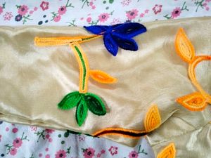 Unused Blouse