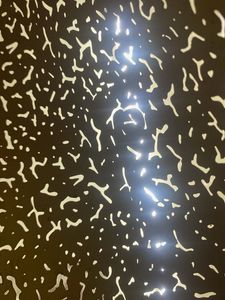 Elegant Black &amp; Gold Decorative  for night light
