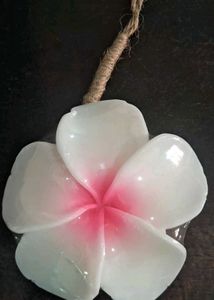 Most Beautiful Floral Soaps Imported buy