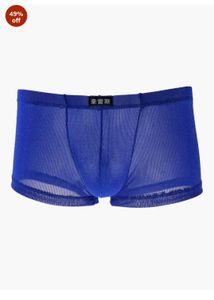 Sexy Men's Mesh Brief