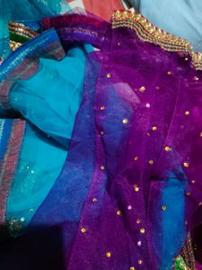 Elegant Embellished Lehenga Choli Set